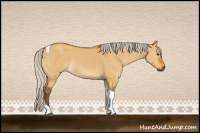 Horse Color:Gray Silver Buckskin Dun Tobiano Rabicano
