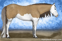 Horse Color:Classic Cream Champagne Splash