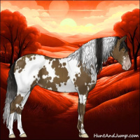 Horse Color:Gray White Spotted Classic Cream Champagne 