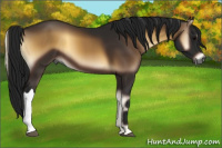 Horse Color:Gray Brown Onyx 