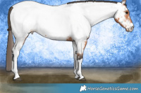 Horse Color:Bay Tobiano Near Fewspot 