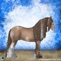 Horse Color:White Spotted Black Pearl