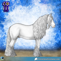 Horse Color:White Spotted Silver Sable Champagne Pearl Splash Tobiano Rabicano