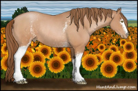 Horse Color:White Spotted Bay Roan Pearl Rabicano