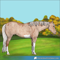 Horse Color:Silver Sable Champagne Dun Tobiano Brindle