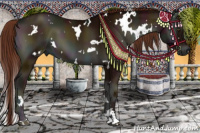 Horse Color:White Spotted Midnight Red Onyx Sabino 