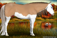 Horse Color:Gray Perlino Splash 