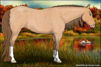 Horse Color:Gray Perlino Roan