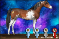 Horse Color:White Spotted Brown 