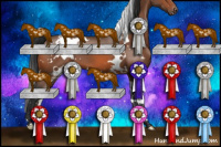 Horse Color:White Spotted Bay Appaloosa