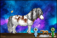 Horse Color:White Spotted Bay 