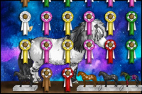 Horse Color:White Spotted Bay Chinchilla 