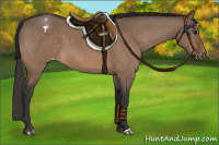Horse Color:Brown Dun Appaloosa 