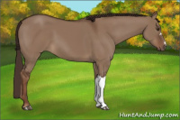 Horse Color:Liver Red Dun 