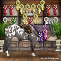 Horse Color:Grullo Appaloosa Brindle 