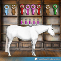 Horse Color:Liver Red Dun Appaloosa Brindle 