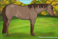 Horse Color:Liver Red Dun Brindle 