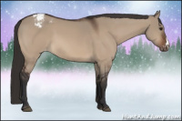 Horse Color:Brown Dun Varnish 