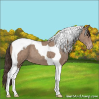 Horse Color:Classic Champagne Tobiano 