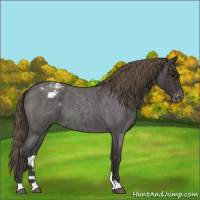Horse Color:Smoky Blue Roan Varnish 