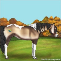 Horse Color:Liver Red Onyx Sabino Tobiano 