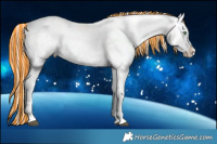 Horse Color:Painted Silver Bay Dun Tobiano Leopard 