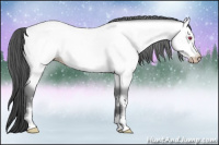 Horse Color:Gray Buckskin Chinchilla Roan Pearl Sabino Frame 