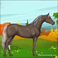 Horse Color:Silver Black 