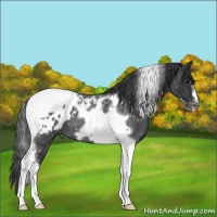 Horse Color:Blue Roan Tobiano Frame Blanket 