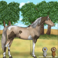 Horse Color:Chocolate Palomino and Chocolate Palomino Pearl Tobiano