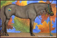 Horse Color:Chocolate Palomino Roan