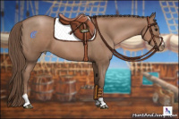 Horse Color:Black Pearl Sabino 