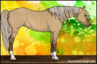 Horse Color:Silver Buckskin Dun Brindle 