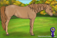 Horse Color:Red Roan Sabino