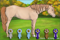 Horse Color:Gold Champagne 