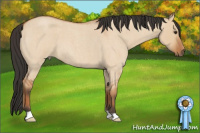 Horse Color:Bay Roan Dun 