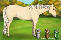 Horse Color:Palomino Roan