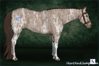 Horse Color:Liver Red Dun Ice 