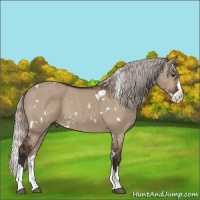 Horse Color:White Spotted Silver Brown Dun Splash 