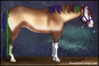Horse Color:Painted Bay Onyx Appaloosa 