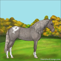 Horse Color:Silver Blue Roan Varnish 