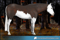 Horse Color:Silver Brown Mushroom Splash 