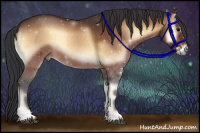 Horse Color:Bay Onyx 