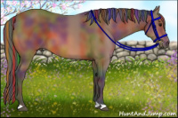 Horse Color:Painted Nacre Bay 