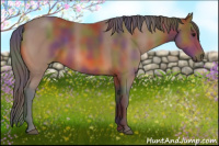 Horse Color:Nacre Bay 