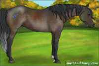 Horse Color:Brown 