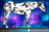 Horse Color:White Spotted Black Ice Splash 