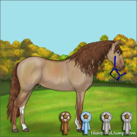 Horse Color:Red Dun 