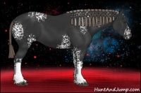 Horse Color:White Spotted Liver Chestnut Rabicano 