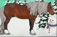 Horse Color:Silver Brown 